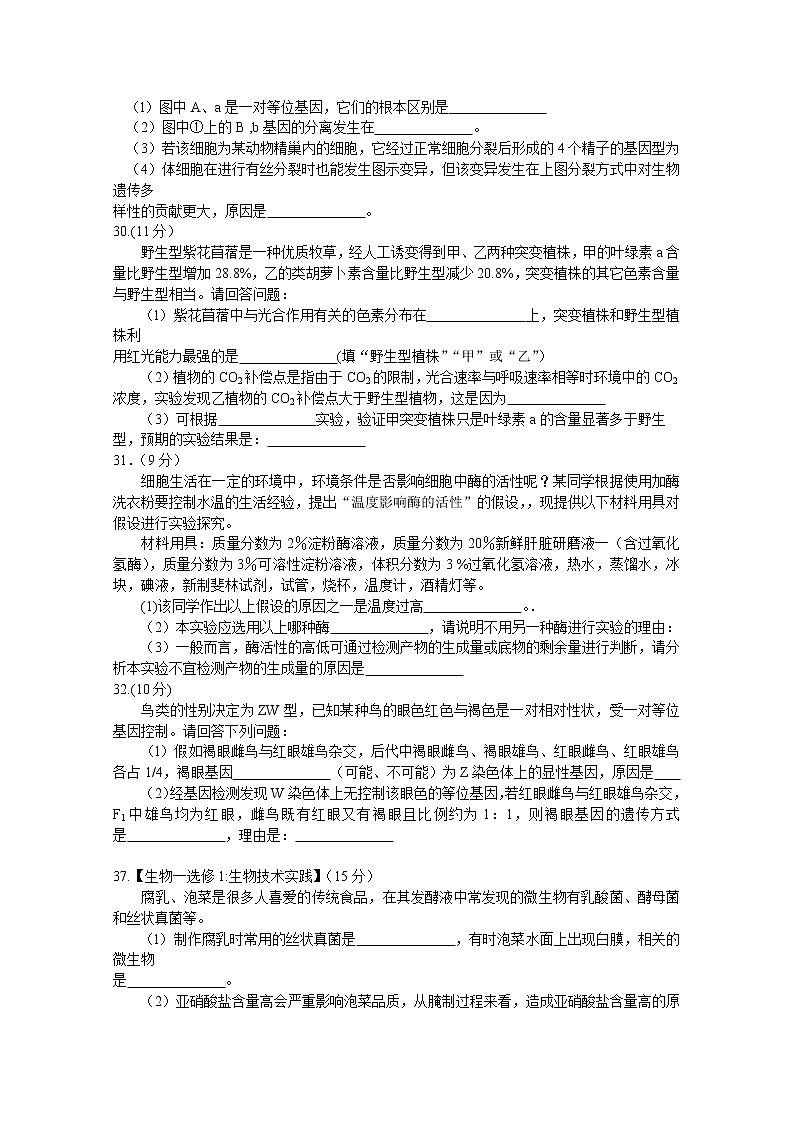 四川省泸州市2020届高三上学期第一次教学质量诊断性考试生物试题 Word版含答案02