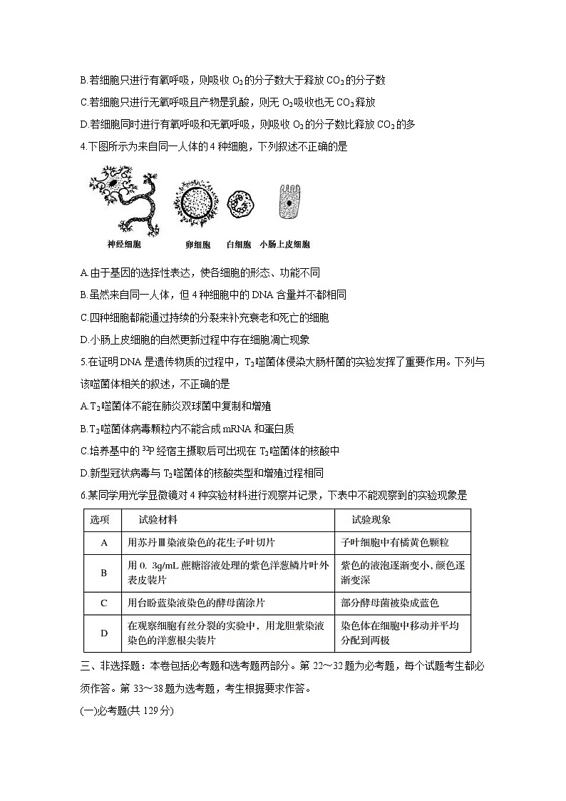 四川省资阳市2021届高三上学期第一次诊断性考试 生物 Word版含答案练习题02