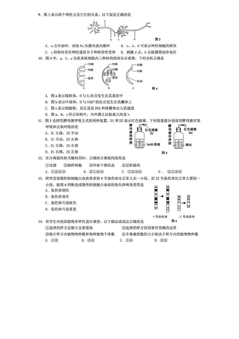 2020年上海市长宁区高三二模生物试卷及答案02