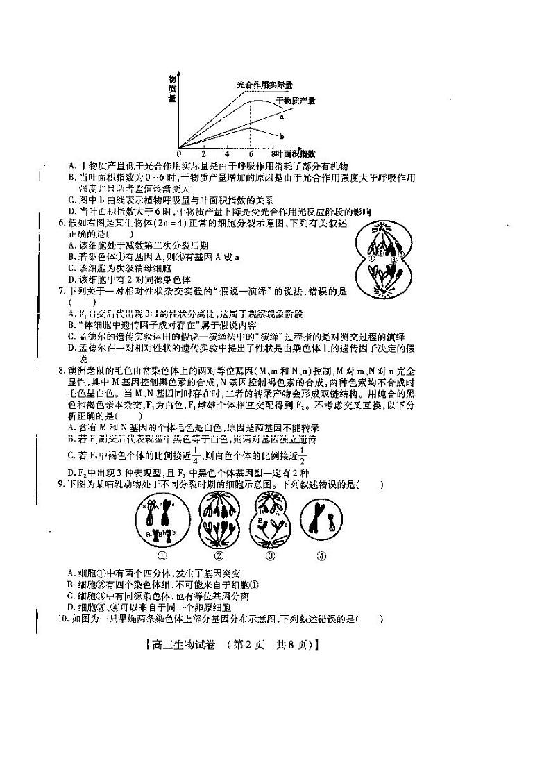 2021届河南省信阳市高三上学期12月调研考试生物试卷 PDF版02