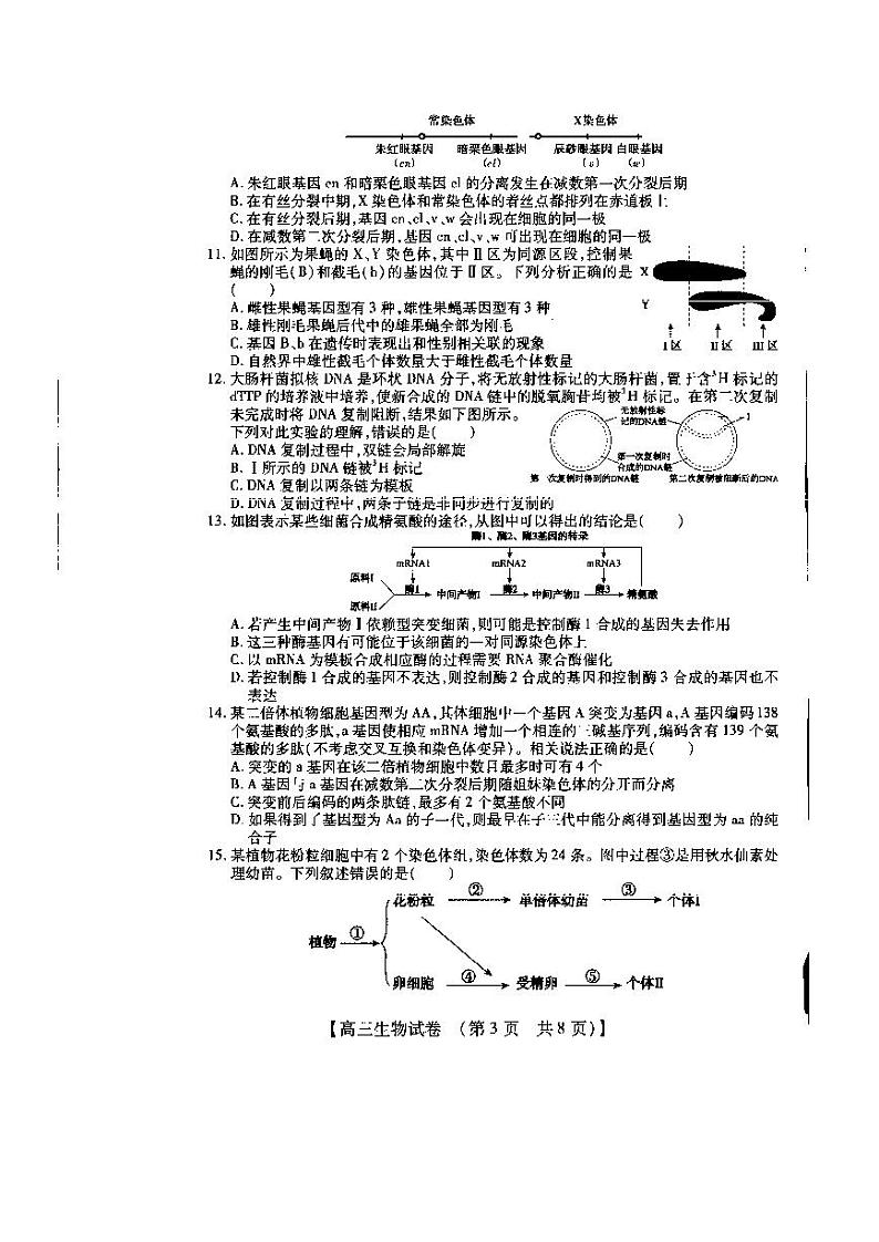 2021届河南省信阳市高三上学期12月调研考试生物试卷 PDF版03