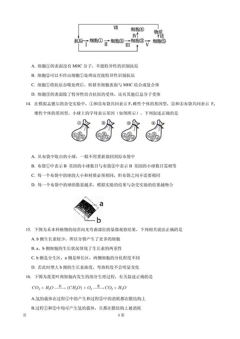 2020届浙江省杭州市第二中学高三上学期第一次月考生物试题（PDF版）第3页
