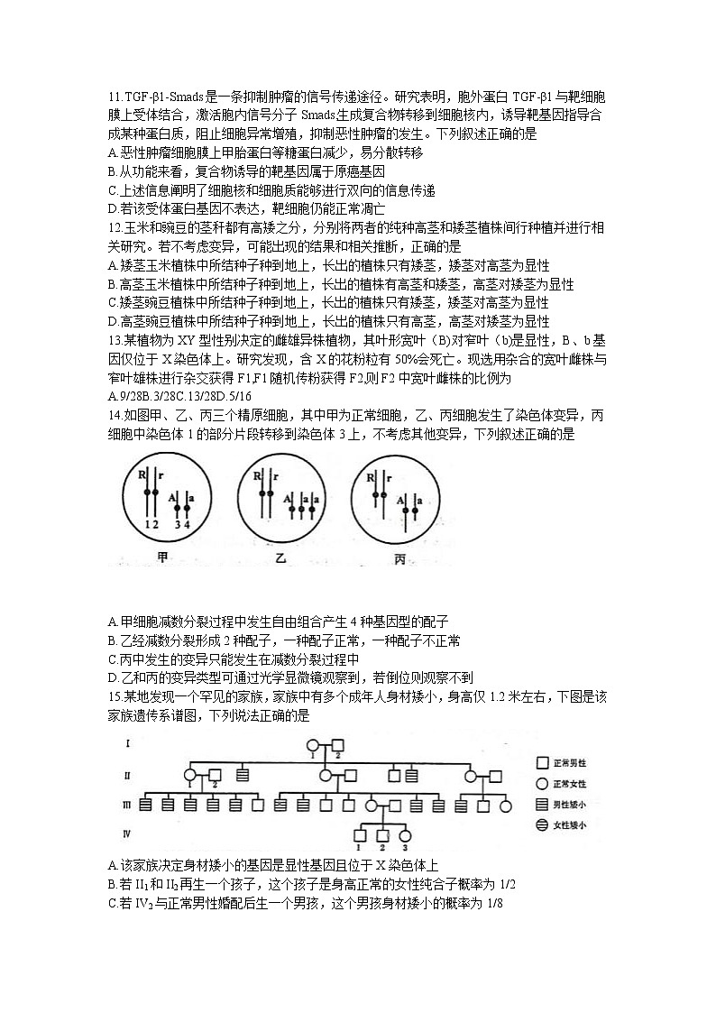 河南省郑州市2022届高三上学期第一次质量预测（一模）（1月）生物含答案03