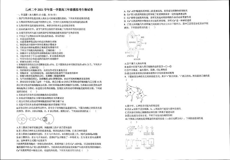 浙江省杭州市第二中学2022届高三上学期模拟考生物试题扫描版含答案01