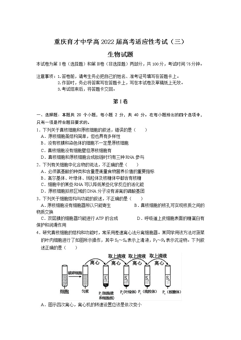 重庆市育才中学2022届高三上学期高考适应性考试（三）生物试题含答案第1页