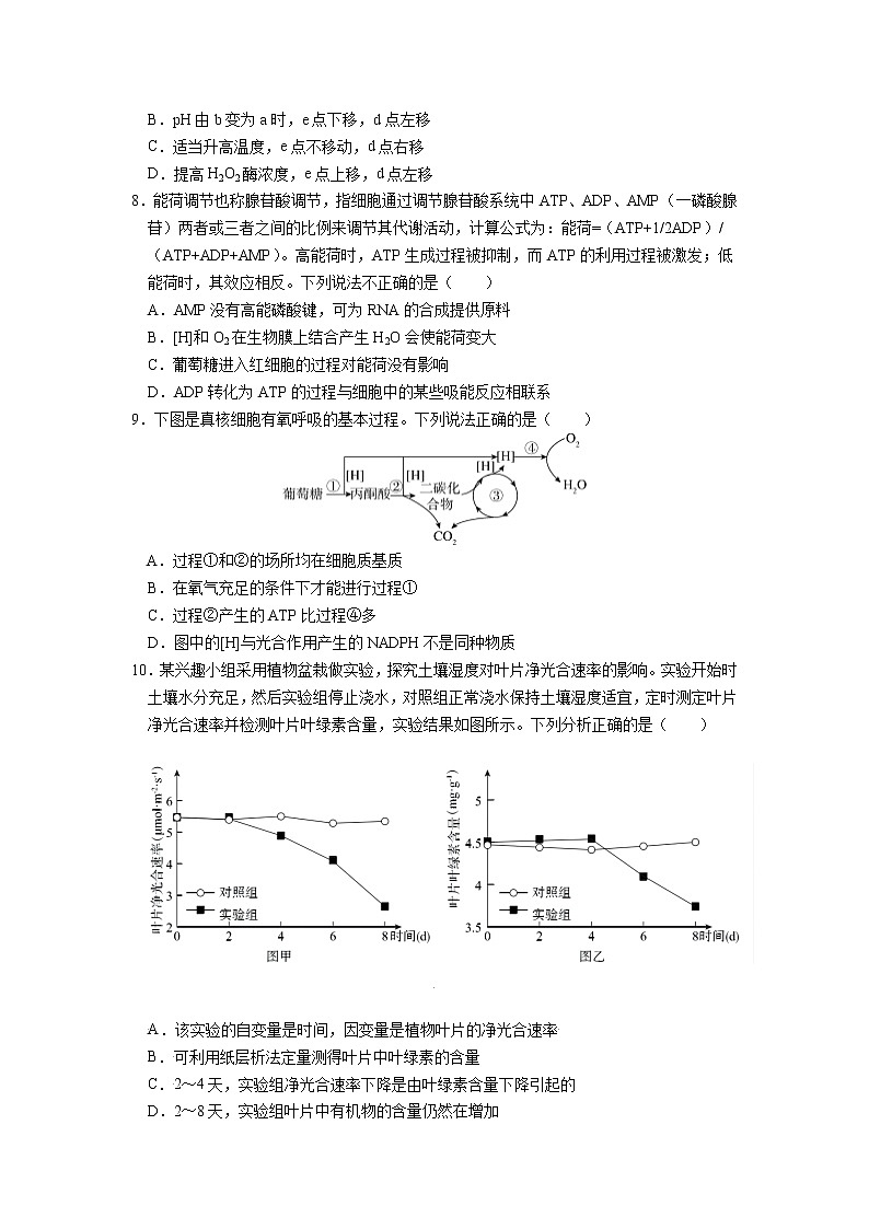 重庆市育才中学2022届高三上学期高考适应性考试（三）生物试题含答案第3页