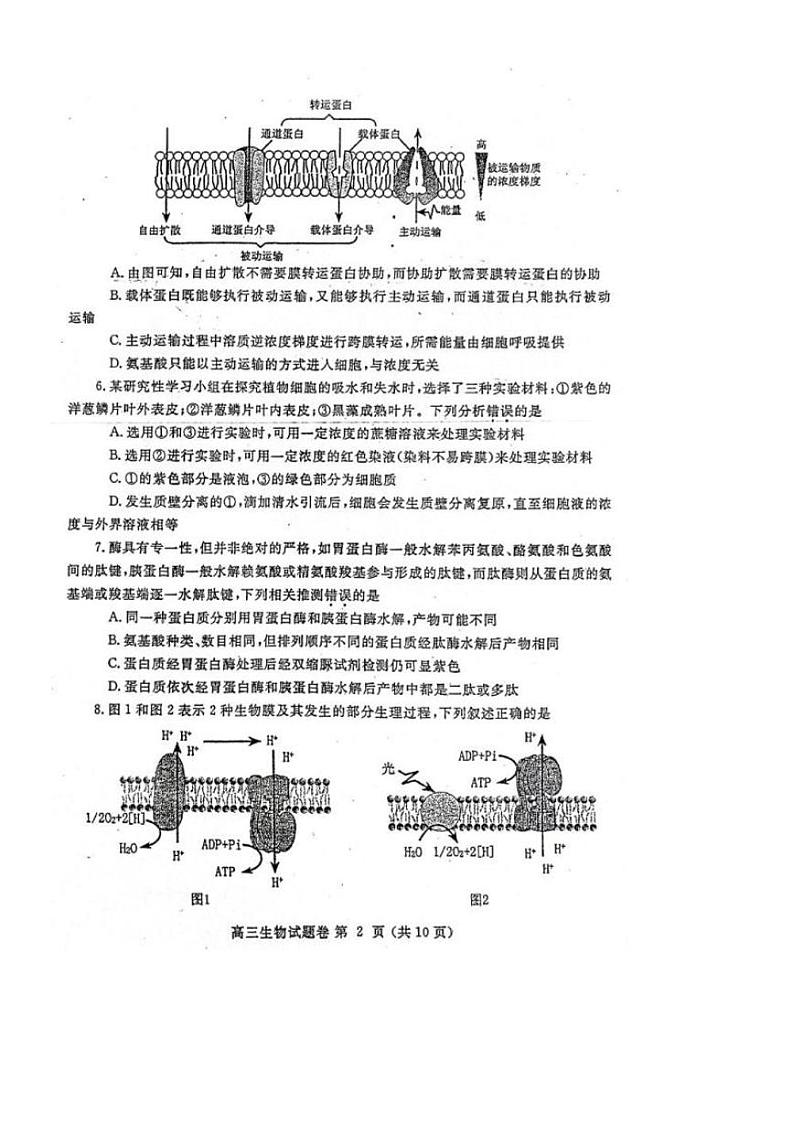 河南省郑州市2022届高三上学期第一次质量预测（一模）（1月）生物PDF版含答案第2页
