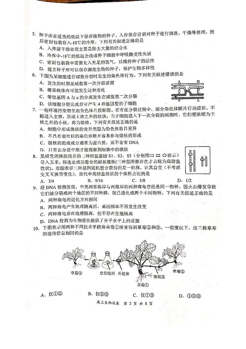 2022届江苏省盐城市、南京市高三年级第一次模拟考试生物试题（无答案）02