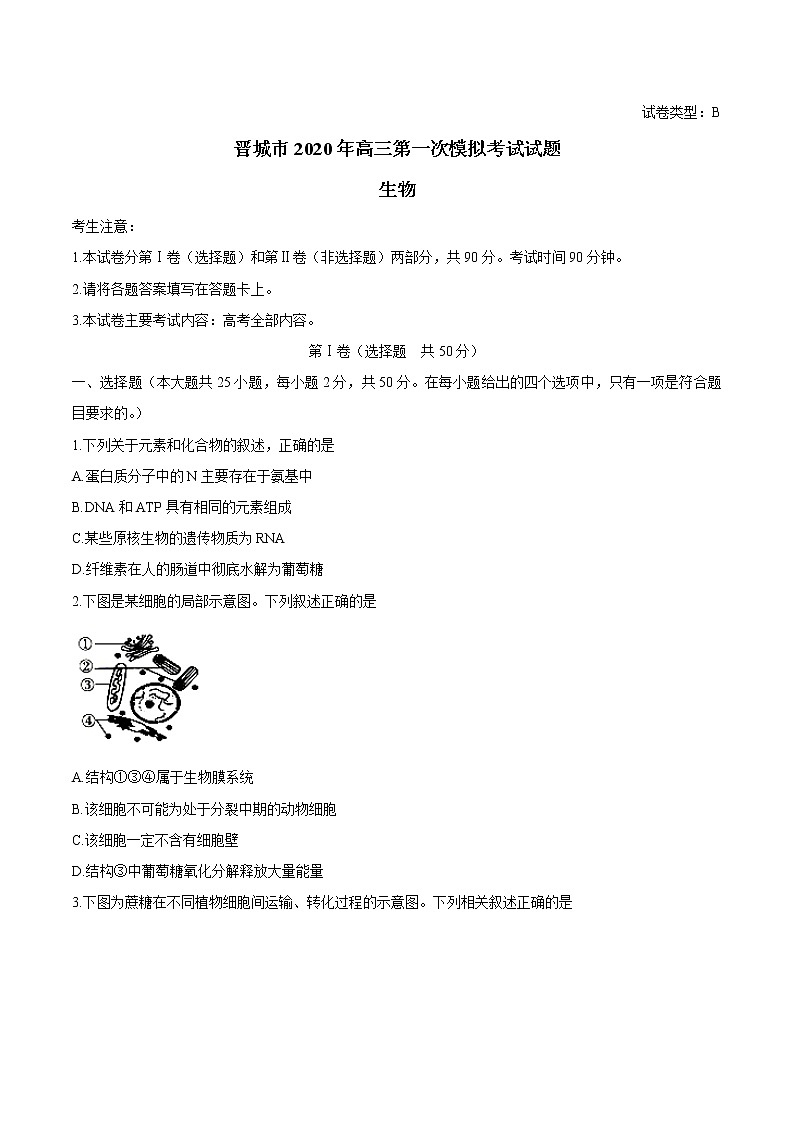 山西省晋城市2020届高三第一次模拟考试生物试题01