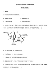 2021-2022学年度高三上生物期末考试卷自测卷