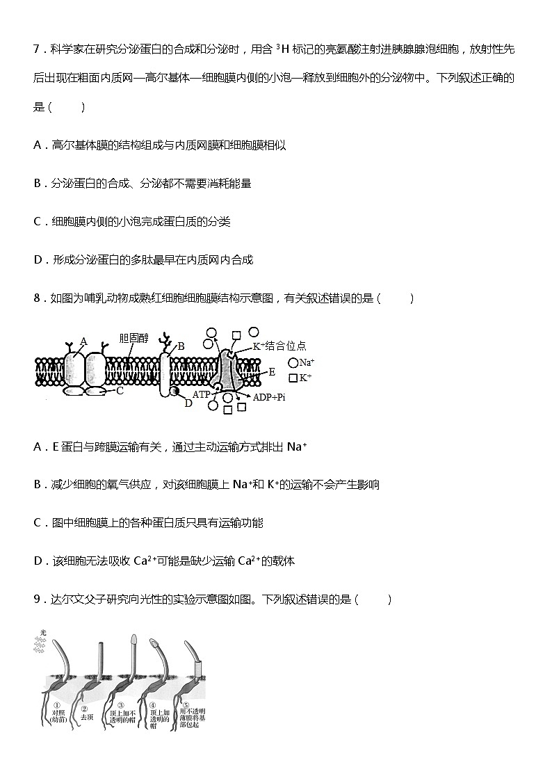 2021-2022学年度高三上生物期末考试卷自测卷03