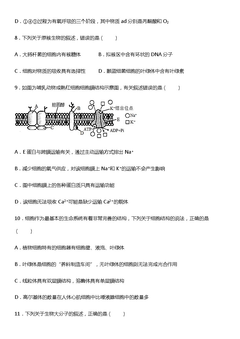 2021-2022学年度高一上生物期末考试自测卷03