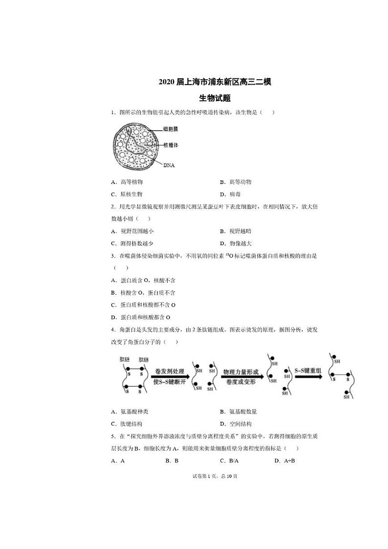 2020年上海市浦东新区高三二模生物试卷及答案第1页