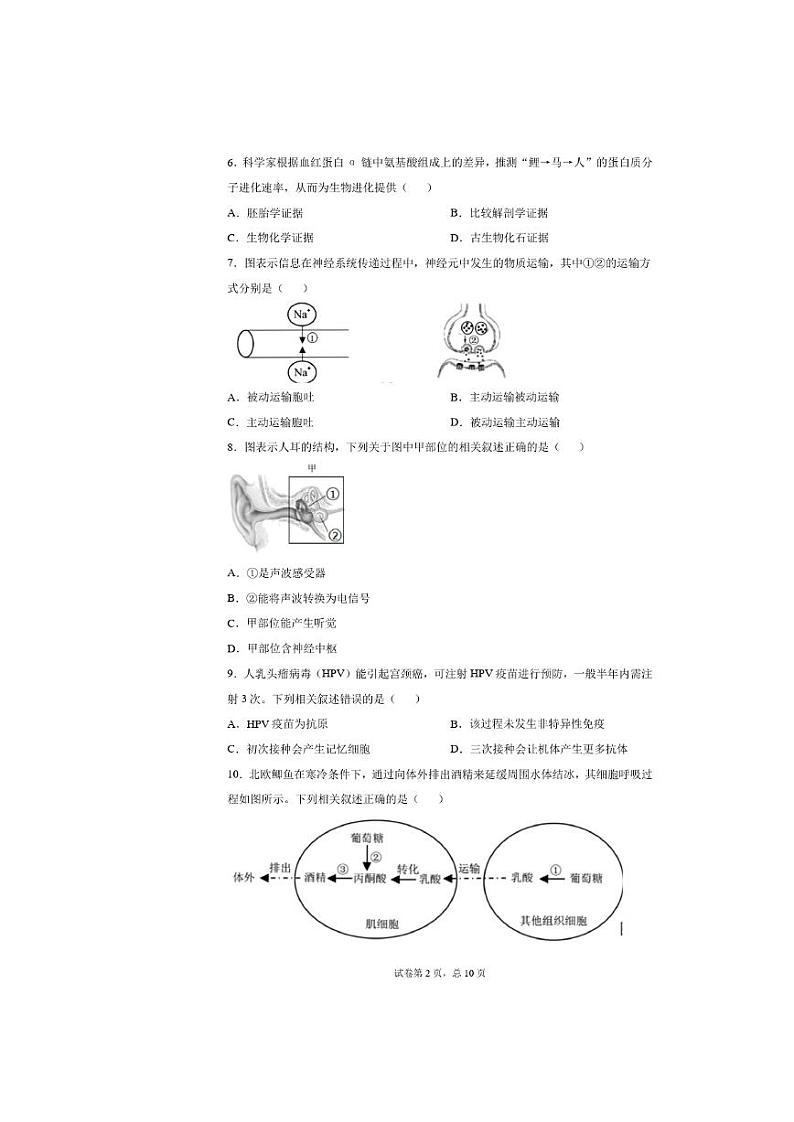 2020年上海市浦东新区高三二模生物试卷及答案第2页