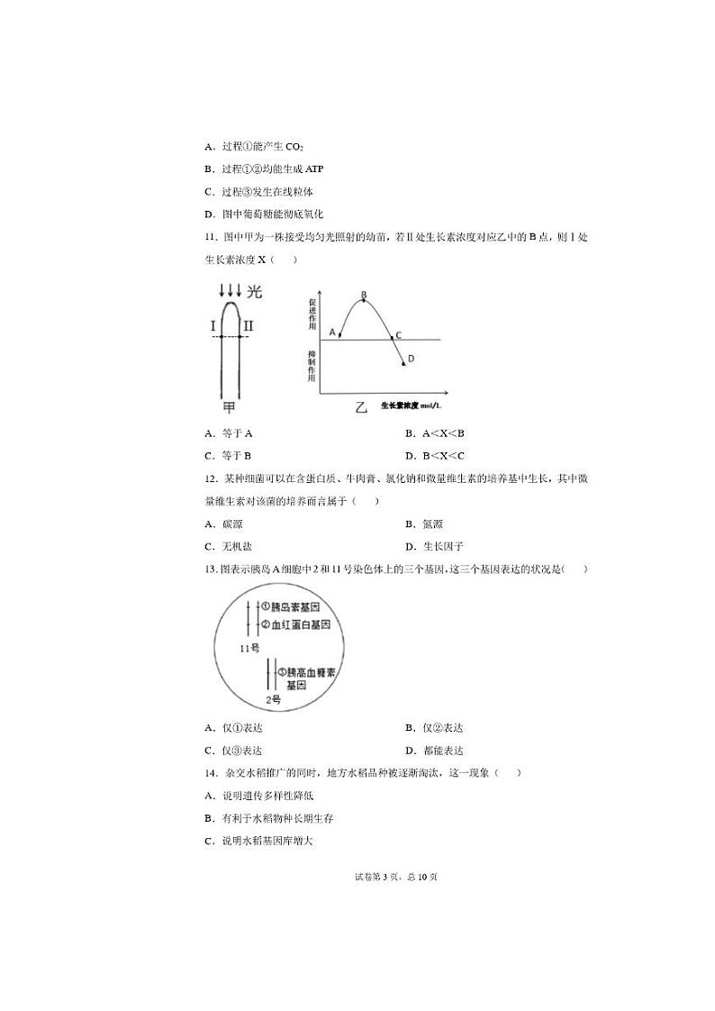 2020年上海市浦东新区高三二模生物试卷及答案第3页