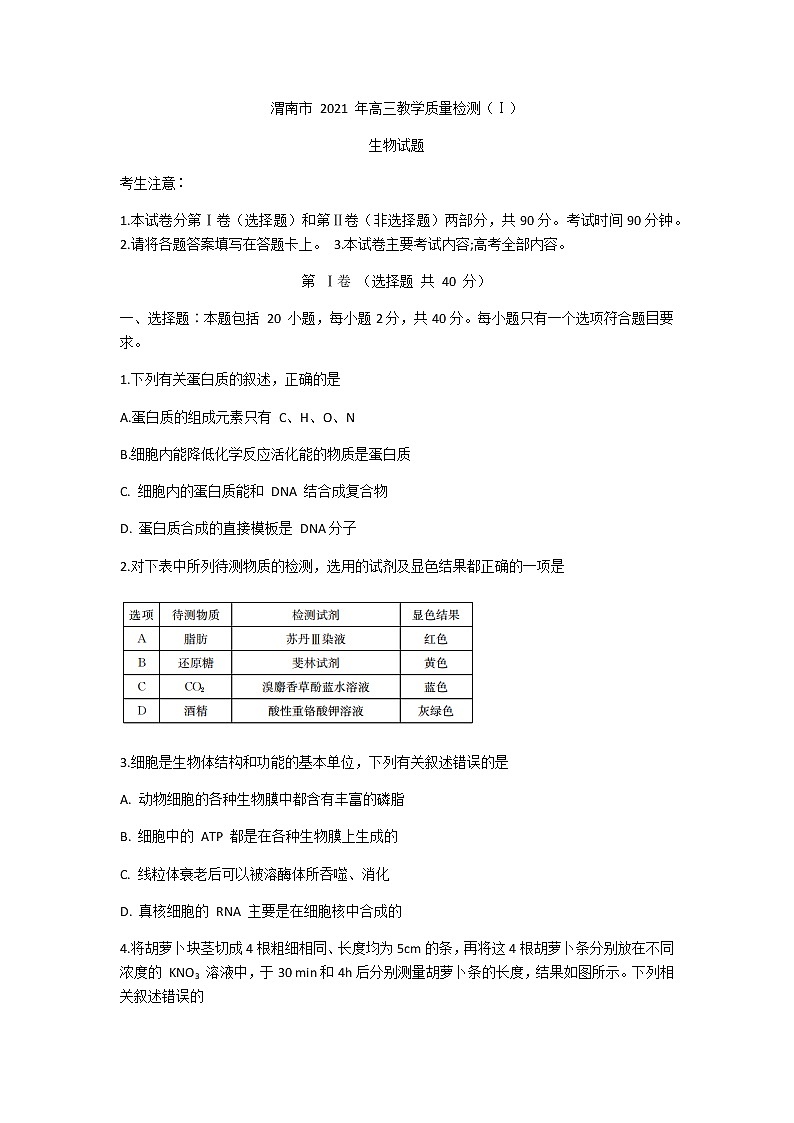 陕西省渭南市2021届高三上学期教学质量检测（Ⅰ）（一模）生物试题 Word版含答案第1页