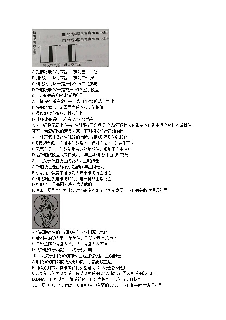 陕西省渭南市富平县2020届高三上学期第一次摸底考试 生物 Word版含答案练习题第2页