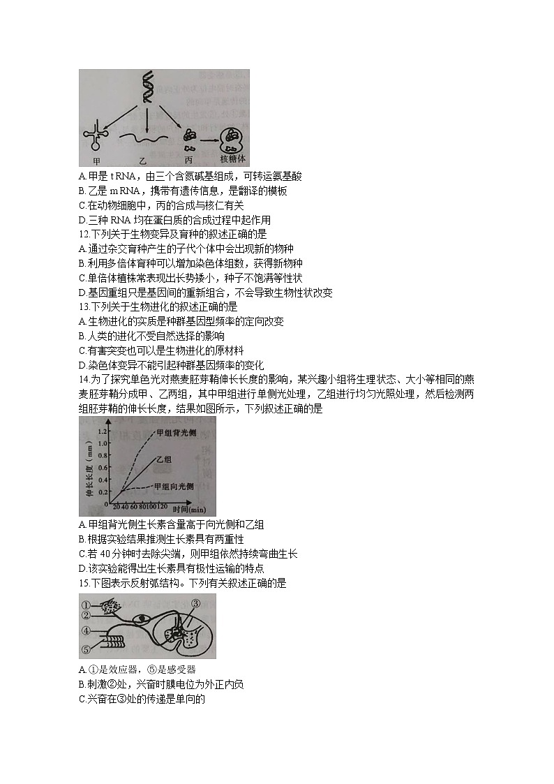陕西省渭南市富平县2020届高三上学期第一次摸底考试 生物 Word版含答案练习题第3页