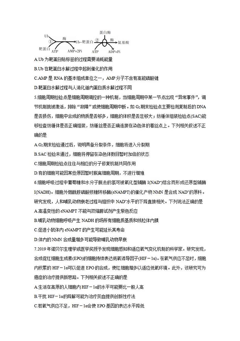 湖南省郴州市2021届高三第一次教学质量监测生物试题含答案02