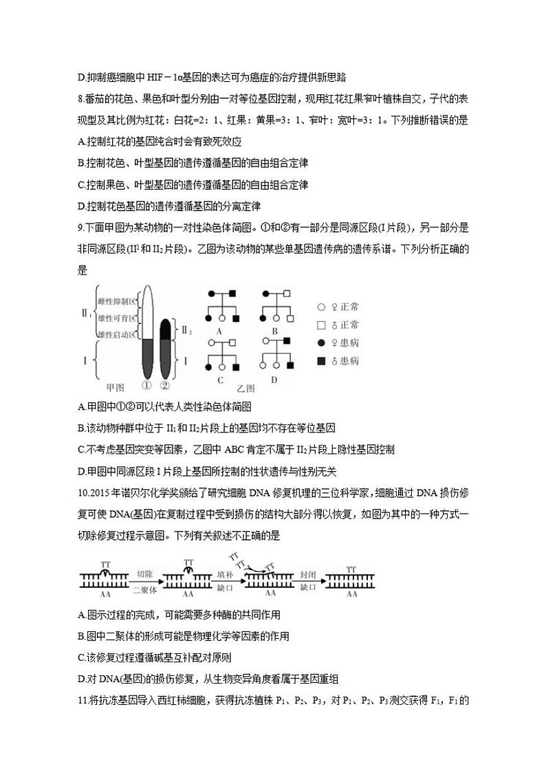 湖南省郴州市2021届高三第一次教学质量监测生物试题含答案03