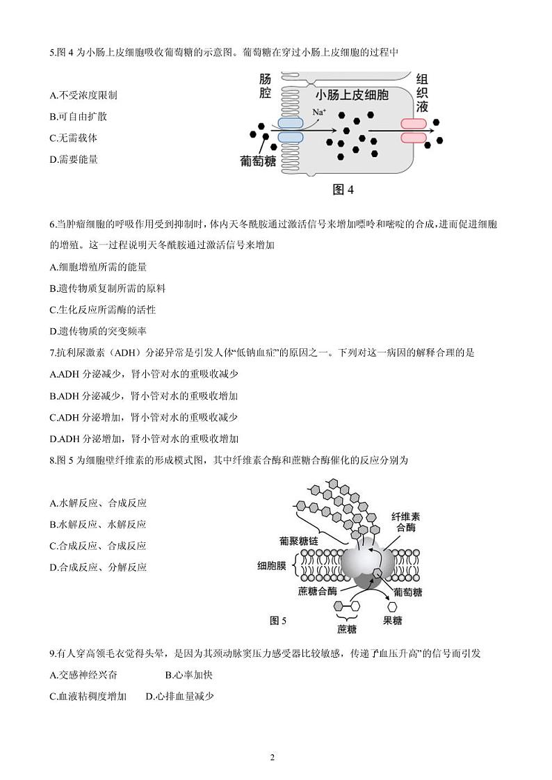 2021年上海市崇明县高三二模生物试卷及答案02
