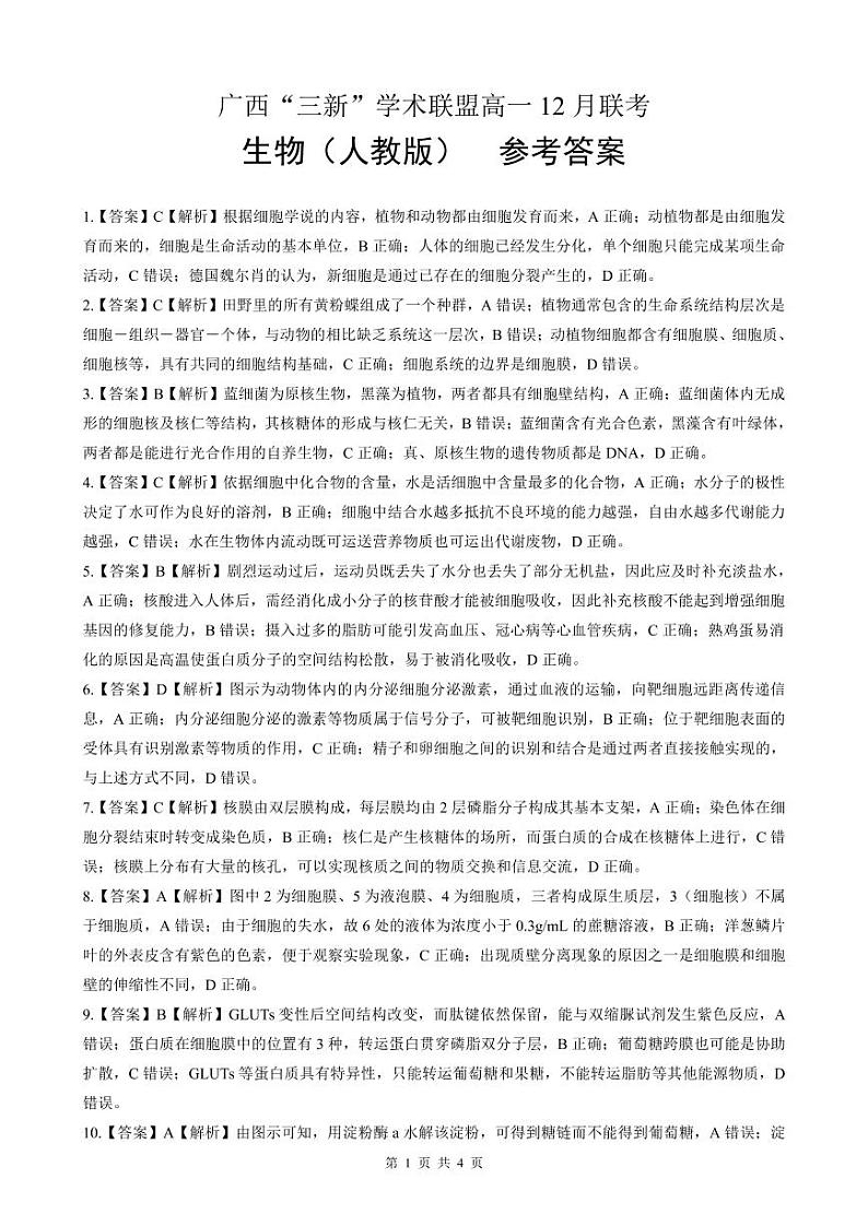 广西“三新”学术联盟高一12月联考 生物（人教）答案第1页