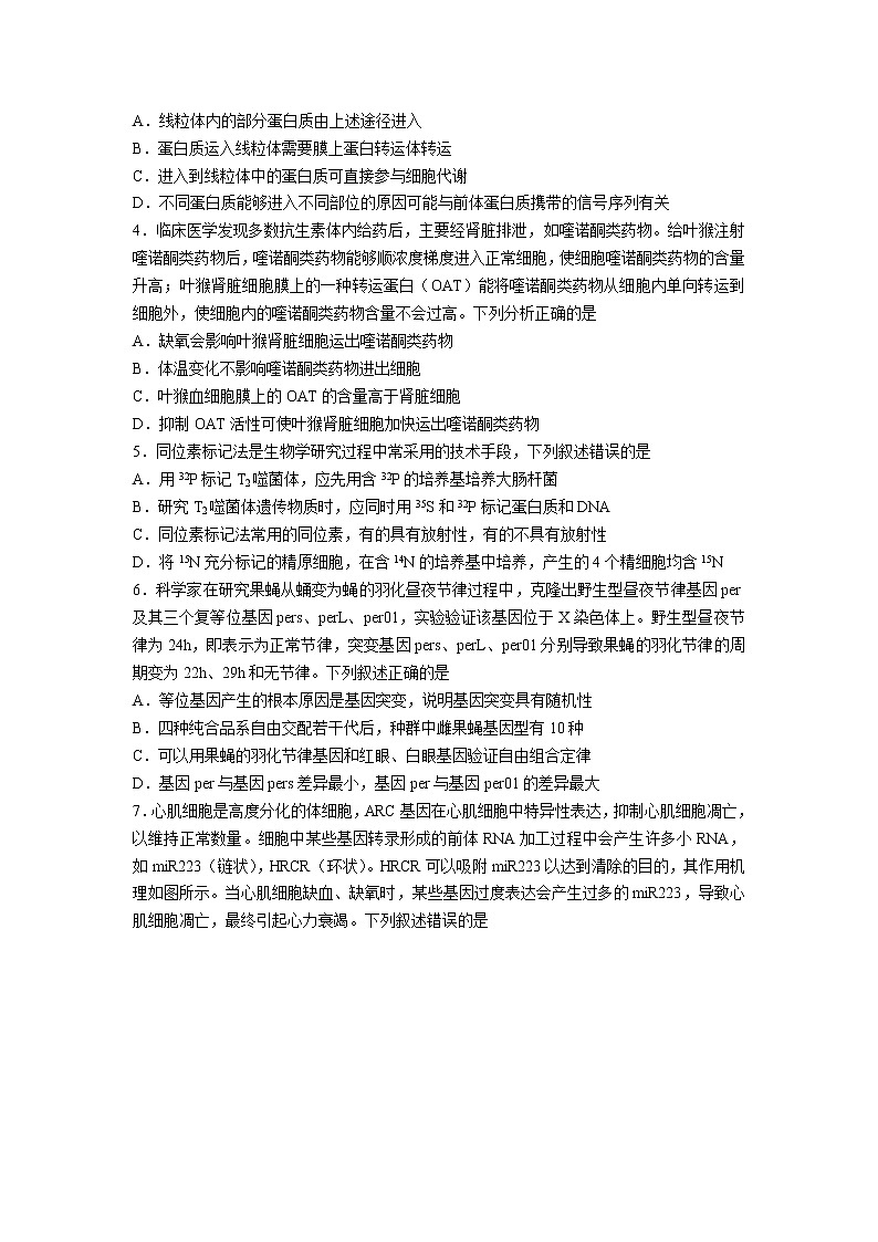 山东省济宁市2021-2022学年高三上学期期末考试生物含答案02