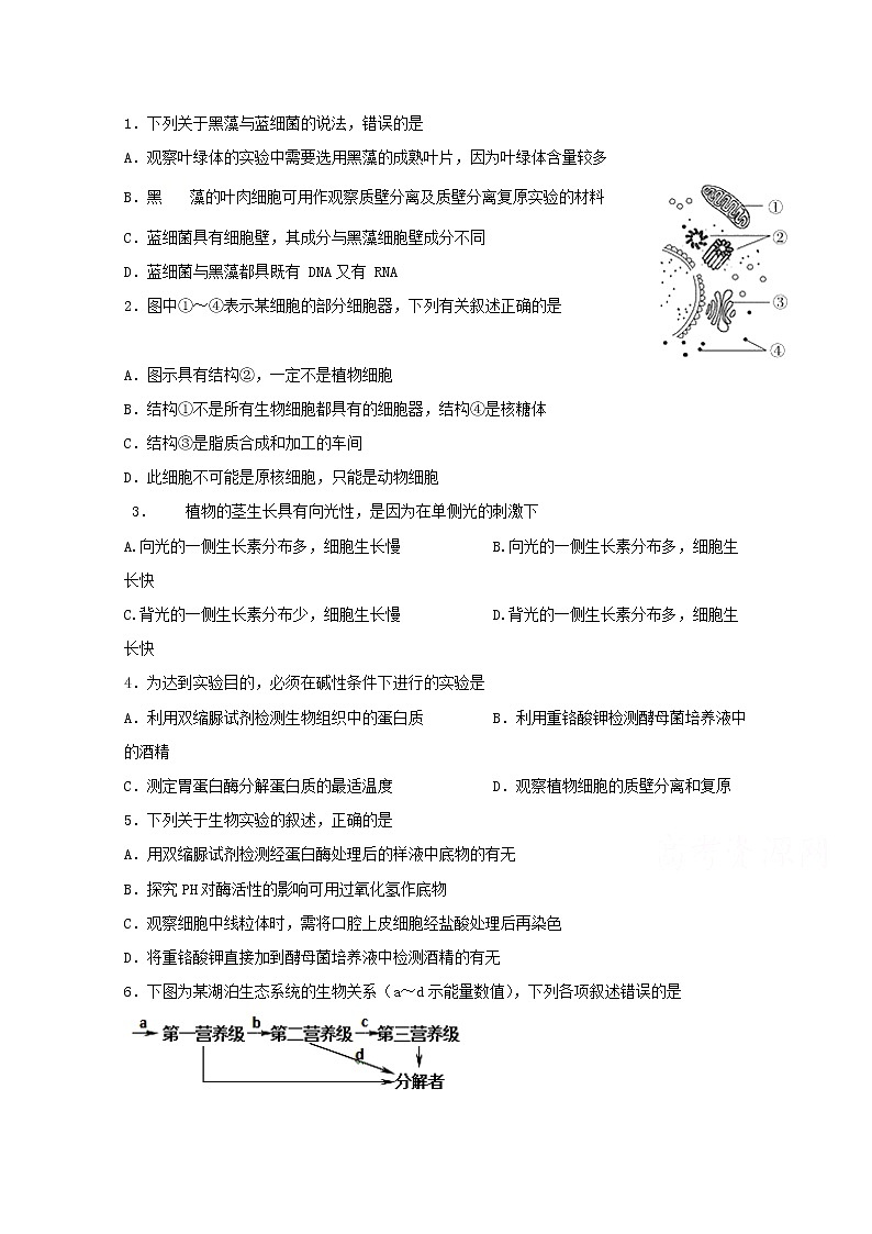 四川省宜宾市第四中学2020届高三一诊模拟生物试题 Word版含答案01