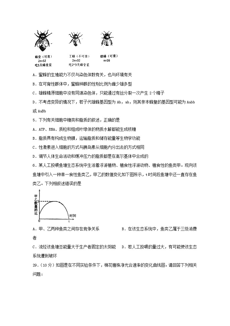 四川省宜宾市叙州区第二中学2020届高三一诊模拟生物试题 Word版含答案02