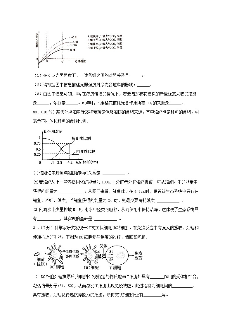 四川省宜宾市叙州区第二中学2020届高三一诊模拟生物试题 Word版含答案03