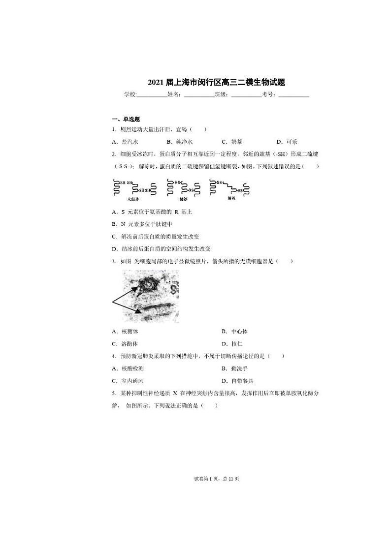 2021届上海市闵行区高三二模生物试卷及答案01