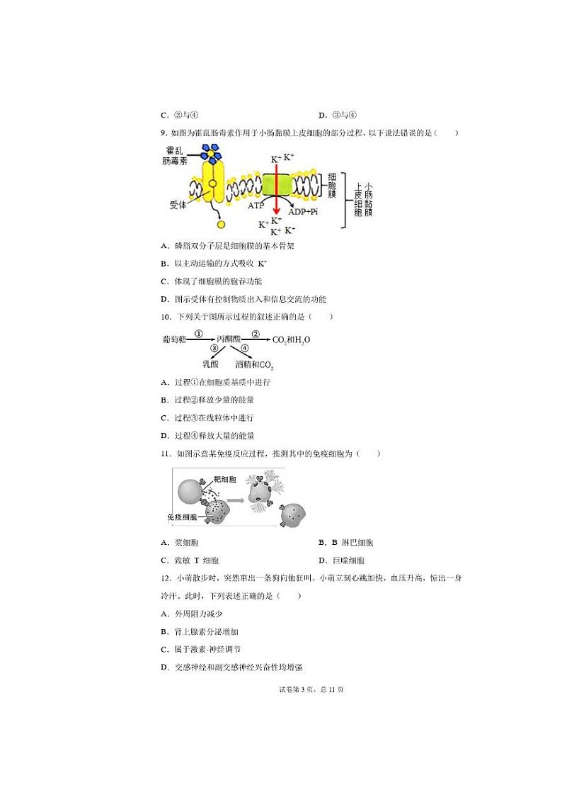 2021届上海市闵行区高三二模生物试卷及答案03