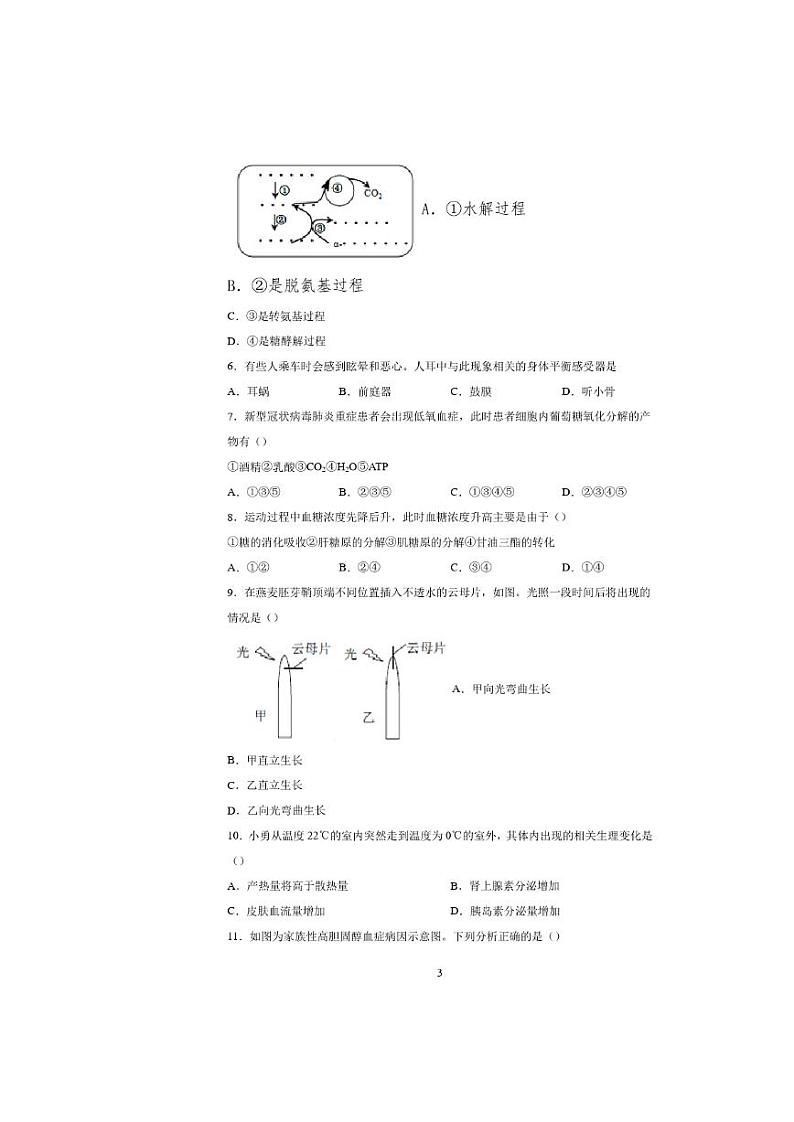 2020届上海市虹口区高三二模生物试卷及答案03