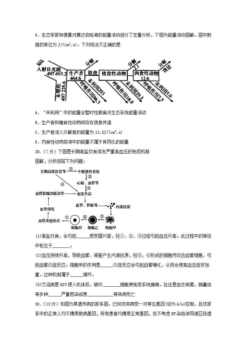 四川省宜宾市叙州区第一中学2020届高三一诊模拟生物试题 Word版含答案02