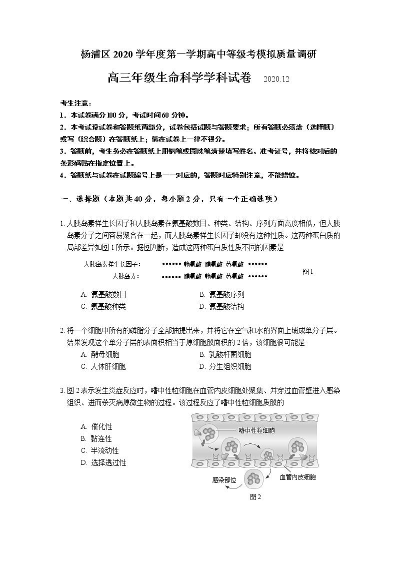 上海市杨浦区2021届高三上学期期末教学质量检测（一模）（12月）生物试题 Word版含答案01