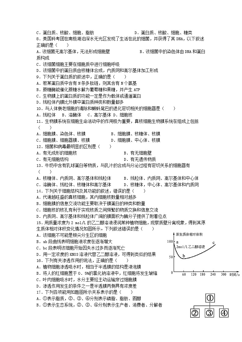甘肃省金昌市永昌县第一高级中学2021-2022学年高一上学期期末考试生物试题含答案02