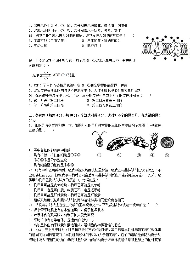 甘肃省金昌市永昌县第一高级中学2021-2022学年高一上学期期末考试生物试题含答案03