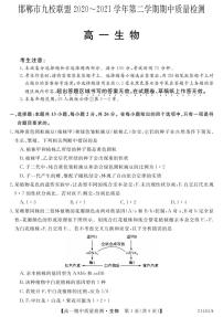 2020-2021学年河北省邯郸市九校联盟高一下学期期中考试生物试题 PDF版