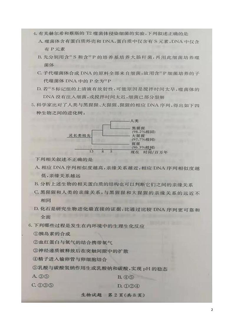 2021-2022学年湖南省名校联考联合体高二上学期元月期末考试 生物 PDF版练习题02