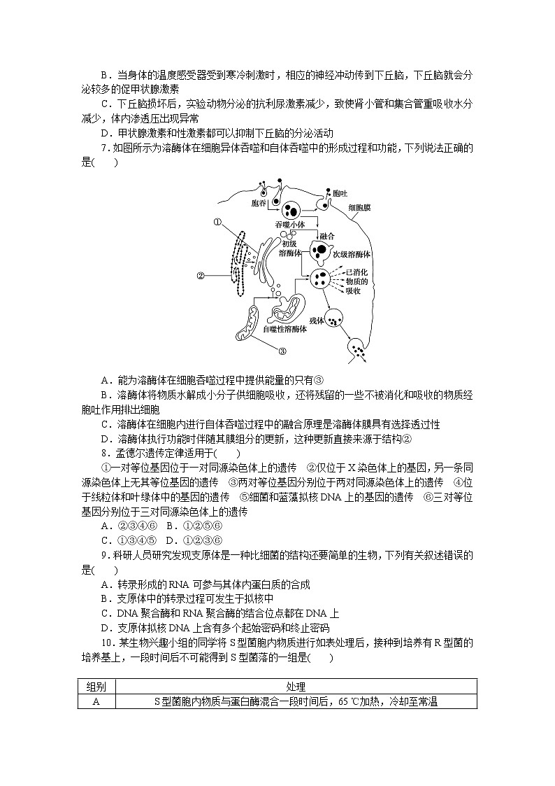 2021版 试吧大考卷 全程考评特训卷 新高考 生物仿真模拟冲刺标准练(四) 含答案解析02
