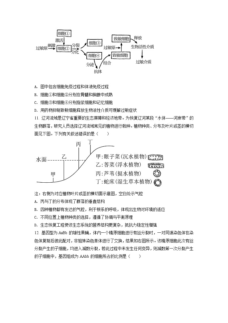 2021年新高考辽宁生物卷及答案解析（原卷+解析卷）03