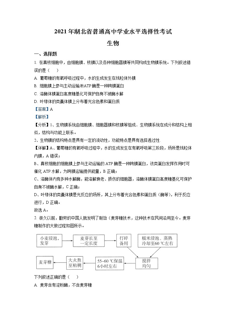2021年新高考湖北生物卷及答案解析（原卷+解析卷）01