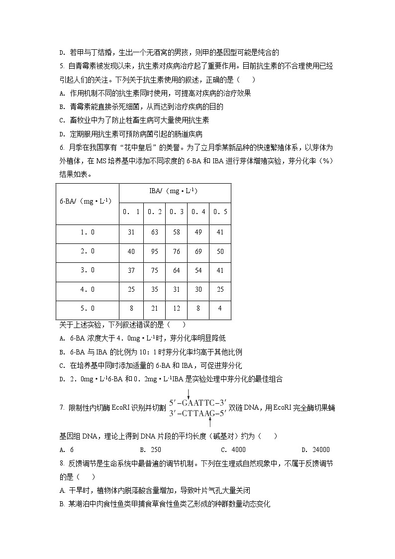 2021年新高考湖北生物卷及答案解析（原卷+解析卷）02