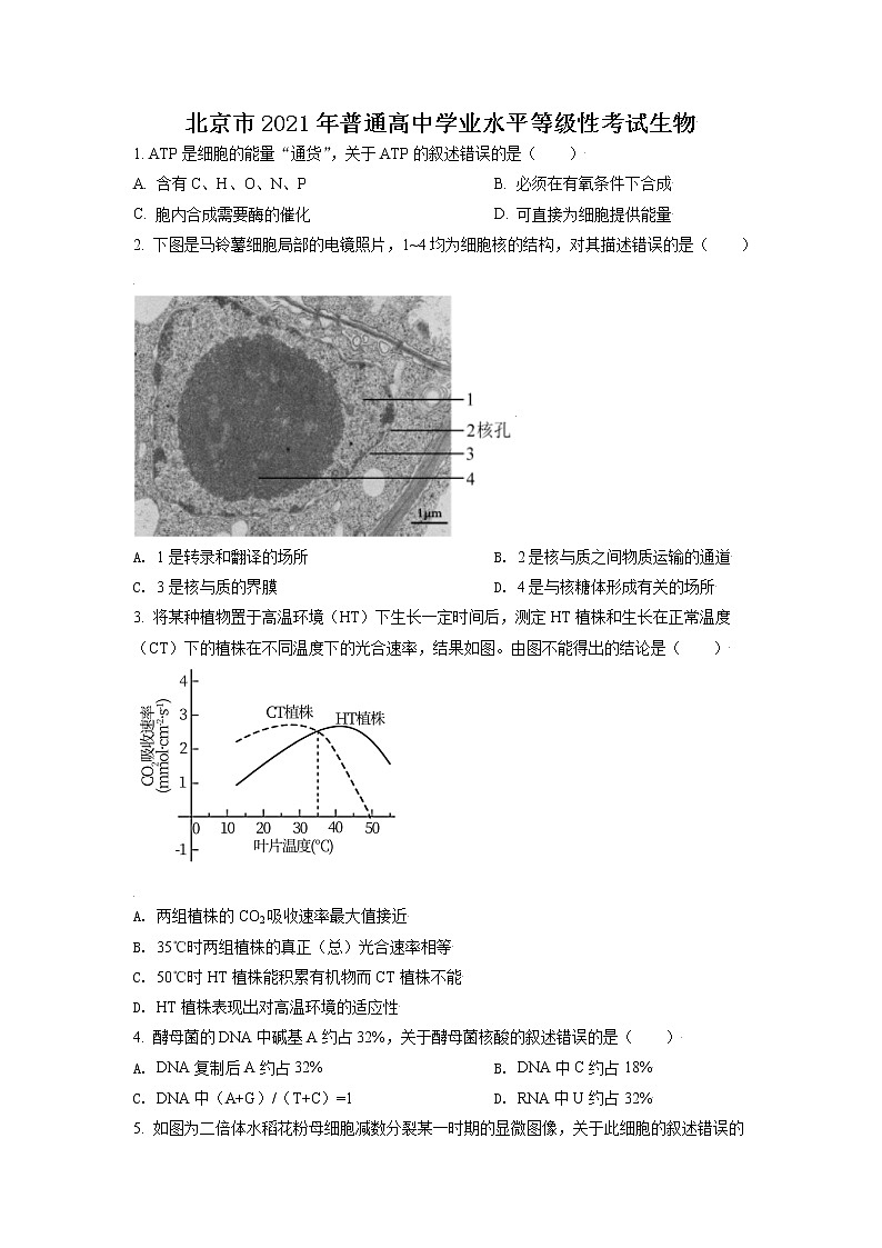 2021年新高考北京生物卷及答案解析（原卷+解析卷）01