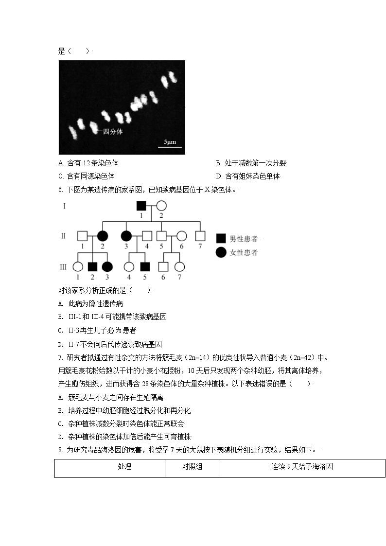 2021年新高考北京生物卷及答案解析（原卷+解析卷）02