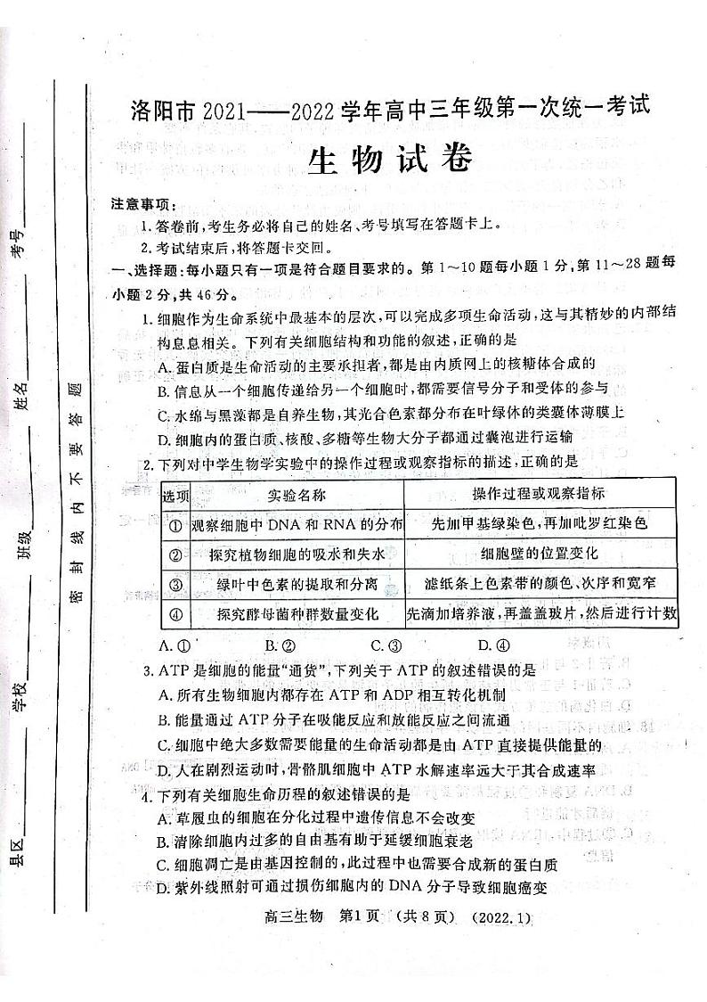 2022届河南省洛阳高三一模生物试卷及答案01