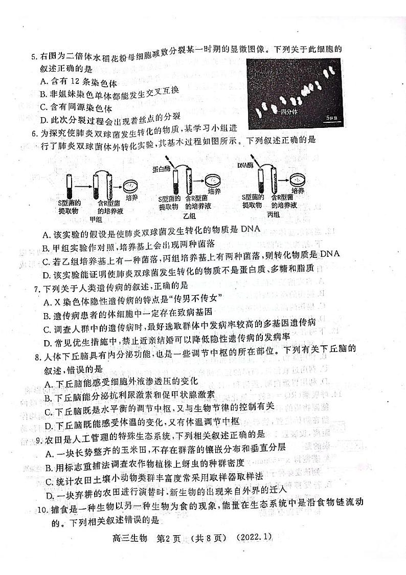 2022届河南省洛阳高三一模生物试卷及答案02