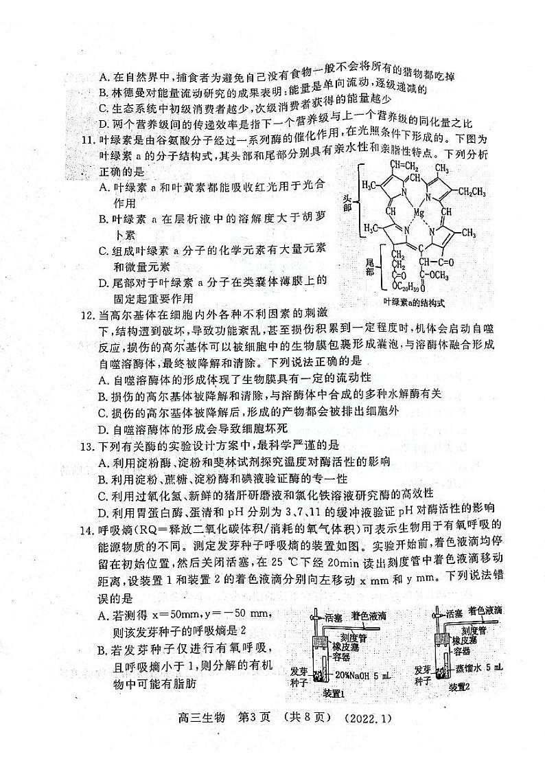 2022届河南省洛阳高三一模生物试卷及答案03