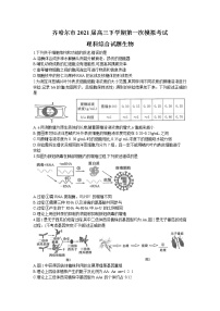 黑龙江省齐齐哈尔市2021届高三下学期第一次模拟考试理科综合生物试题 Word版含答案