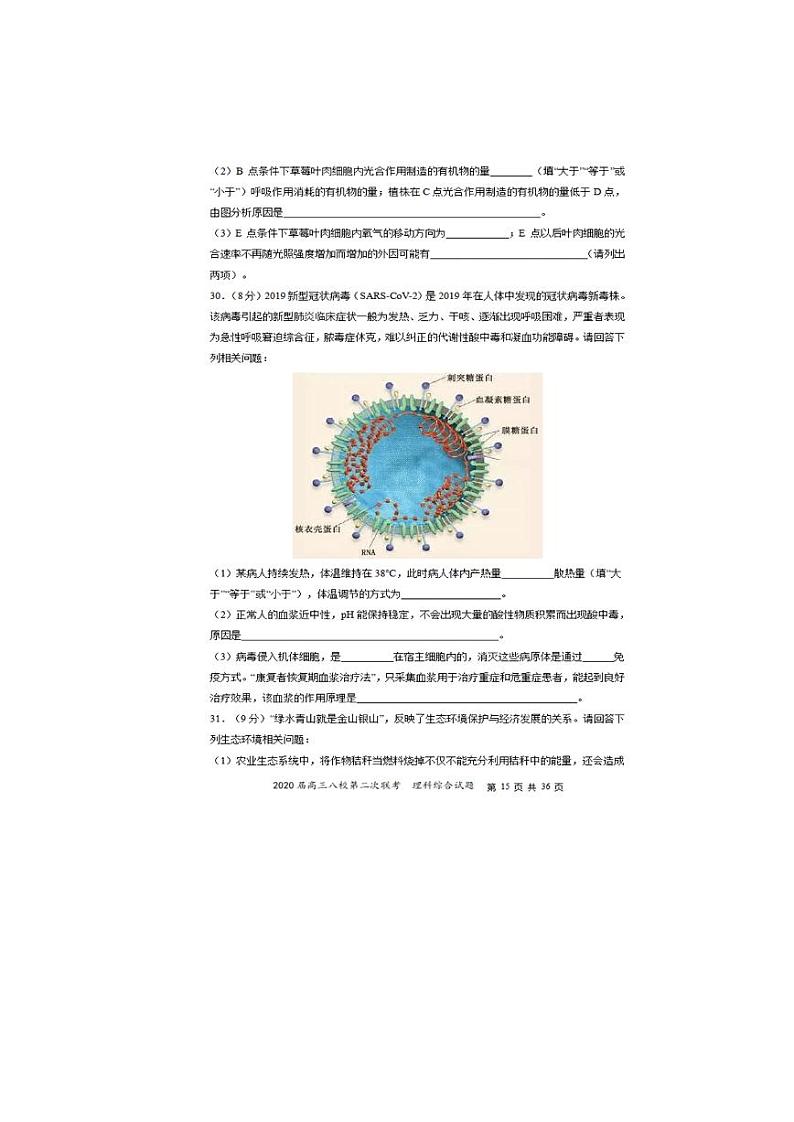 2020届湖北省黄冈高三二模生物试卷及答案03
